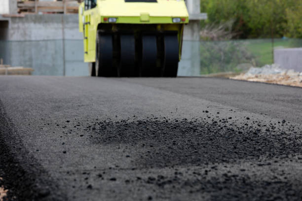 Best Driveway Pavers Near Me  in Lake Park, FL